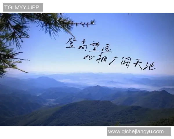 深圳攀岩队的奋斗与突破：一段勇攀高峰的纪实旅程