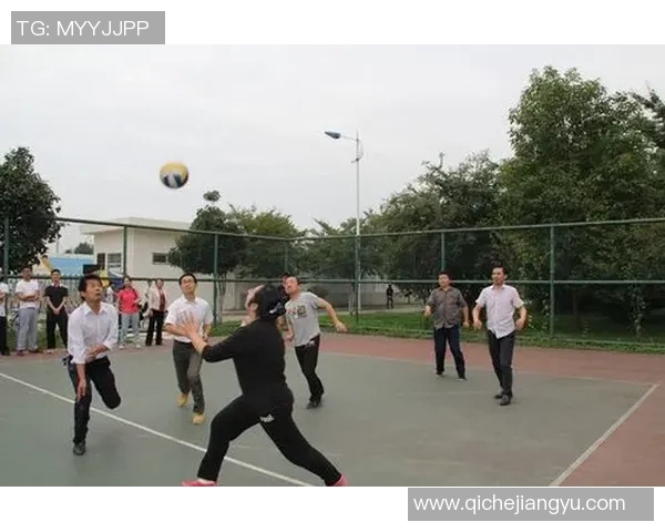 上海排球队最新排球意识排名第一引领潮流TOP10分析