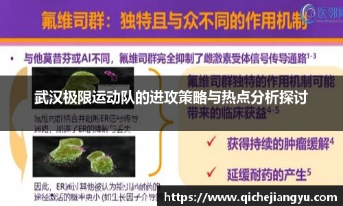 武汉极限运动队的进攻策略与热点分析探讨