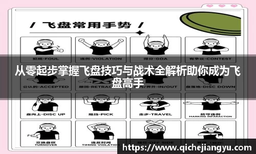 从零起步掌握飞盘技巧与战术全解析助你成为飞盘高手