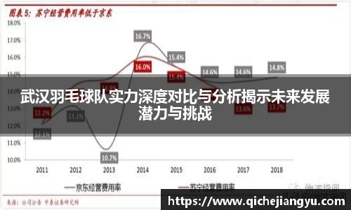 武汉羽毛球队实力深度对比与分析揭示未来发展潜力与挑战