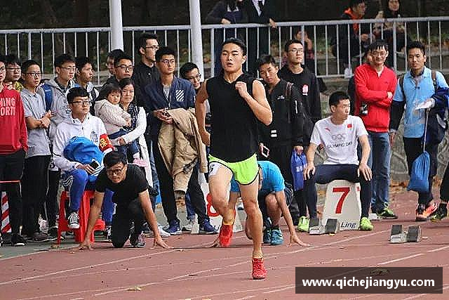 解读bevictor伟德